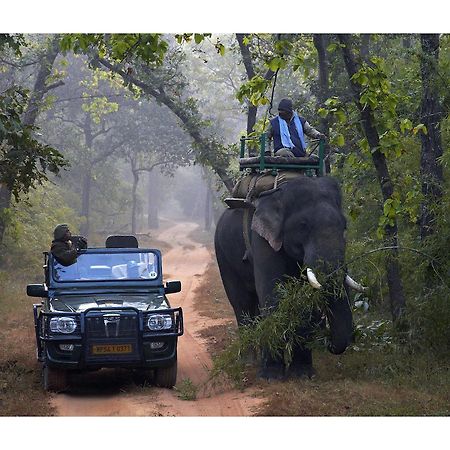 Samode Safari Lodge Parāsi Exteriér fotografie