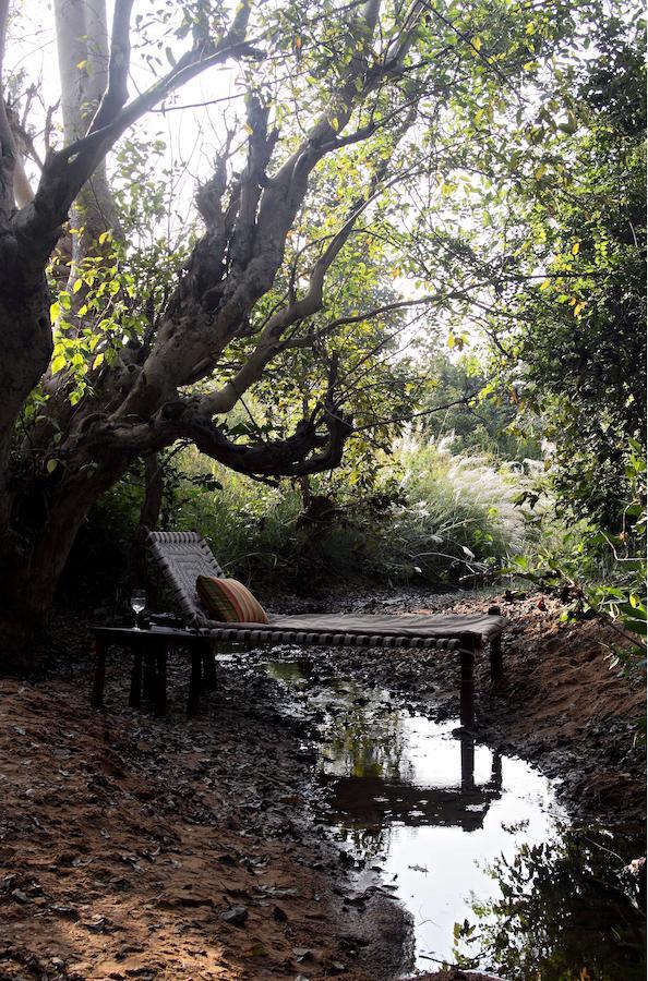 Samode Safari Lodge Parāsi Exteriér fotografie