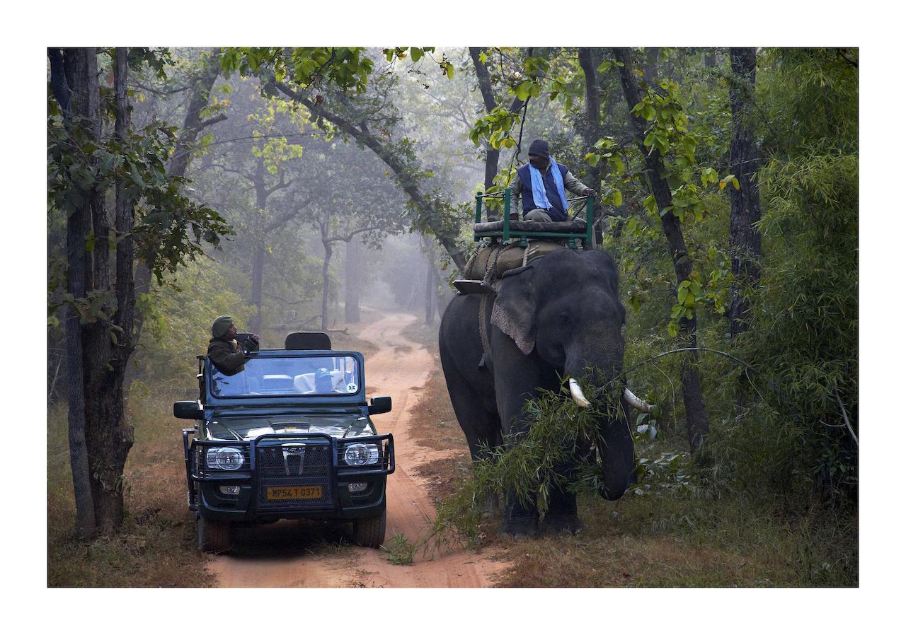 Samode Safari Lodge Parāsi Exteriér fotografie