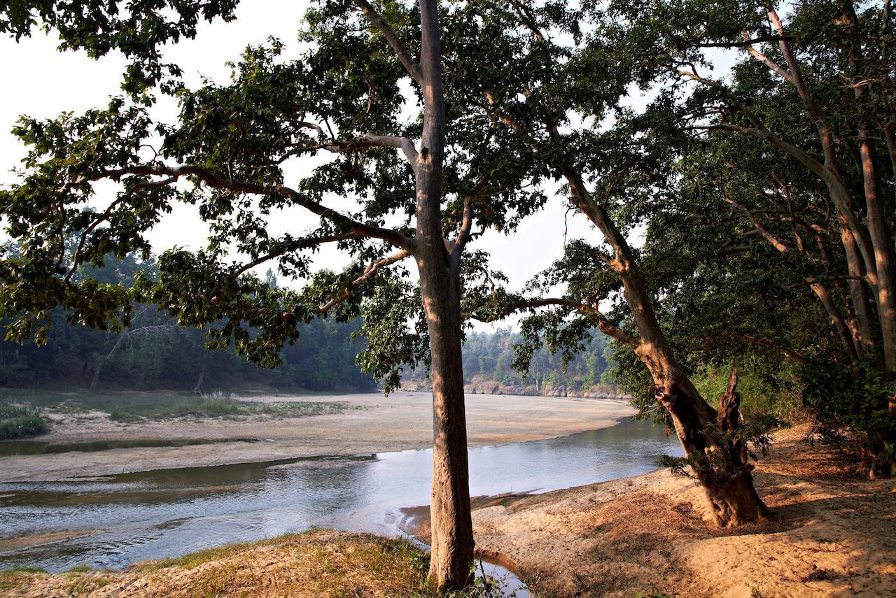 Samode Safari Lodge Parāsi Exteriér fotografie